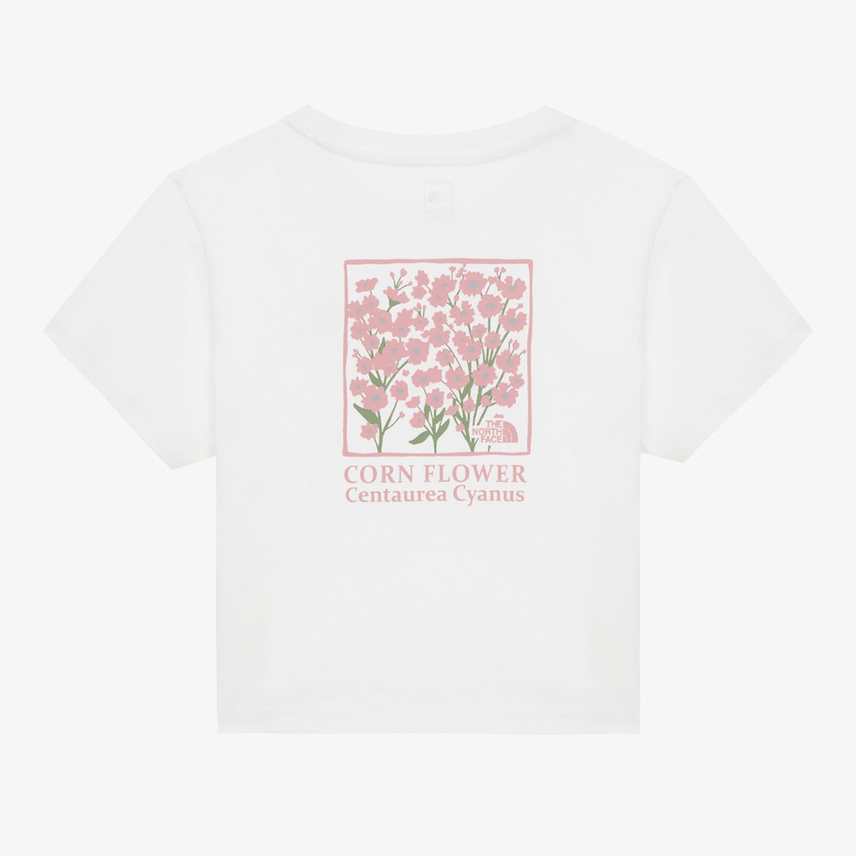 【THE NORTH FACE】W'S FLORET S/SR/TEE THE NORTH FACE W'S FLORET S/S R/TEE | WY Store